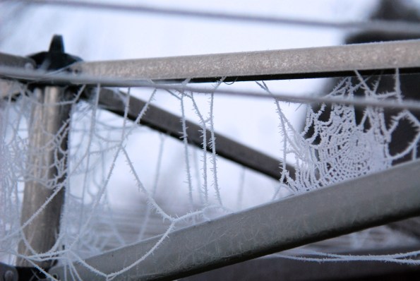 Frosted Clothesline