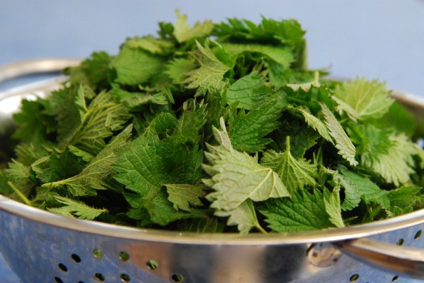 Colander Nettles