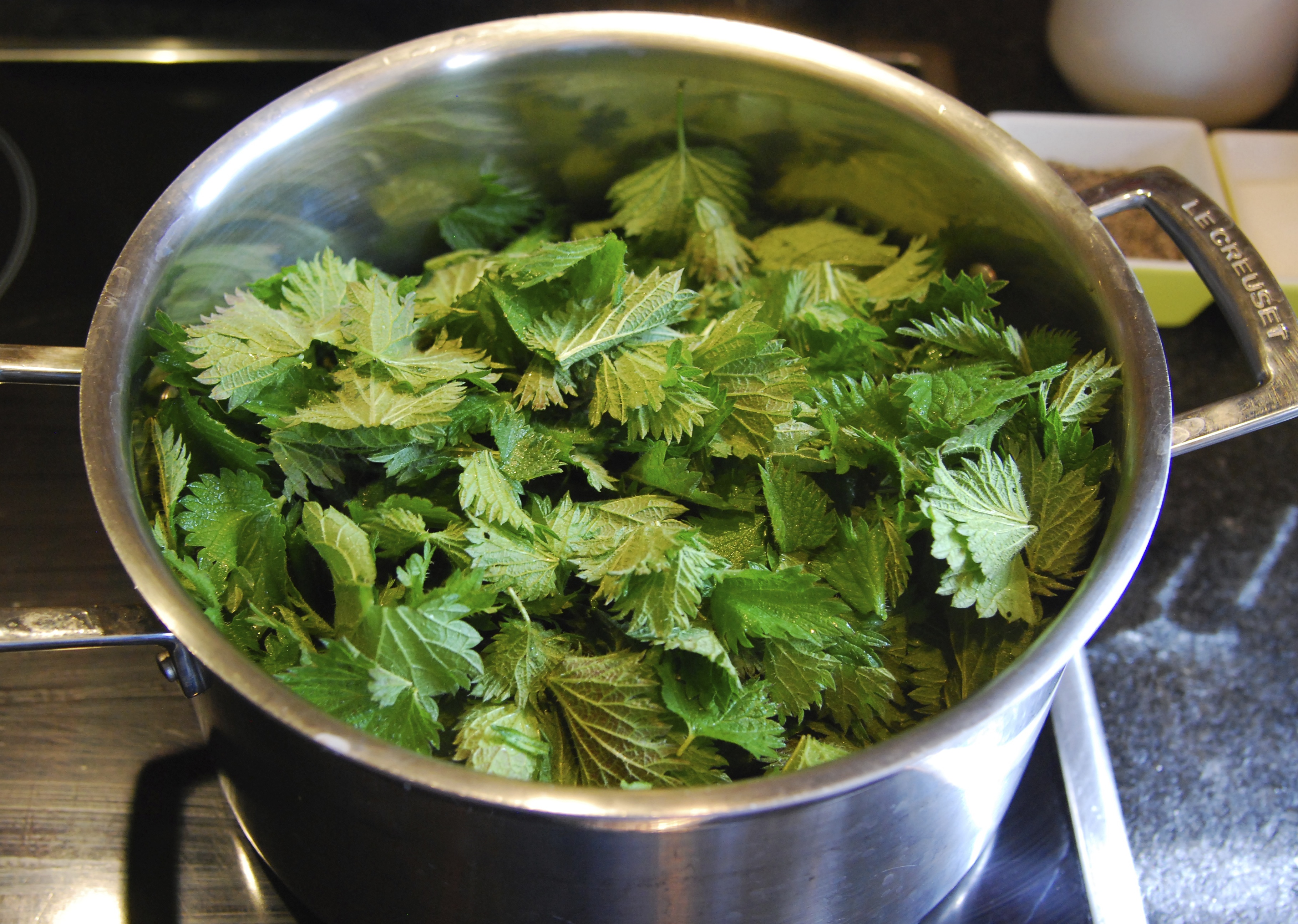 Nettles on Stove