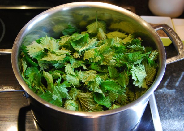 Nettles on Stove