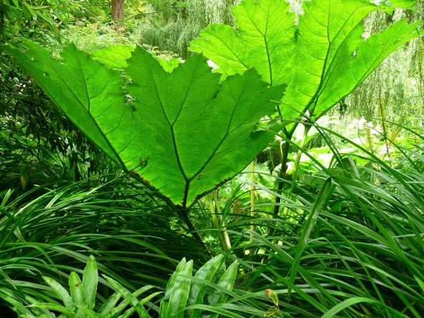 green leaves