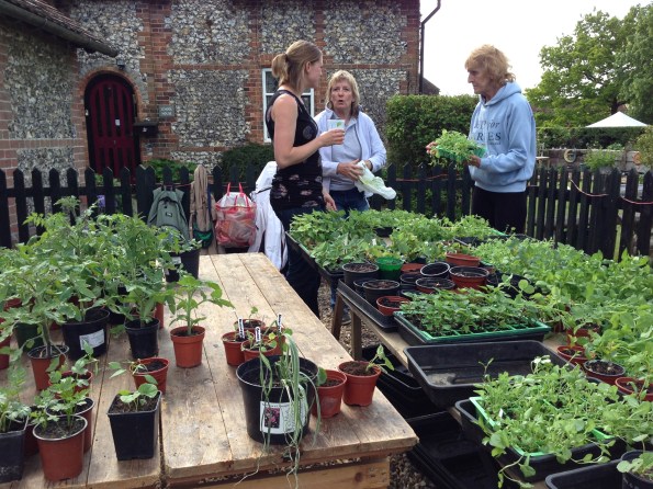 Plant sale