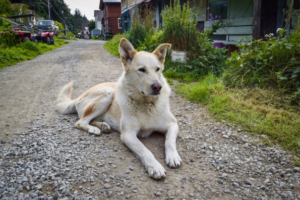 DSC_0507